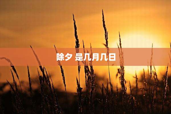 除夕 是几月几日
