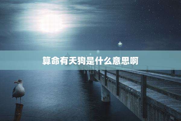 算命有天狗是什么意思啊