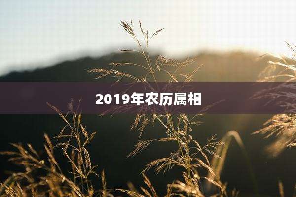2019年农历属相