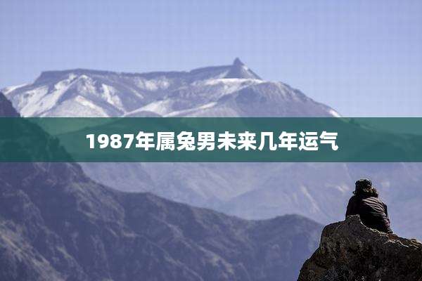 1987年属兔男未来几年运气