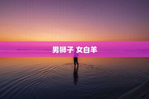 男狮子 女白羊