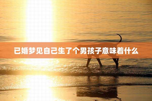 已婚梦见自己生了个男孩子意味着什么