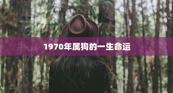 1970年属狗的一生命运