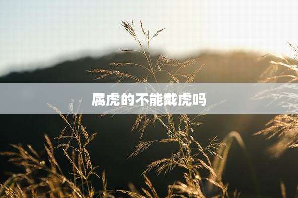 属虎的不能戴虎吗