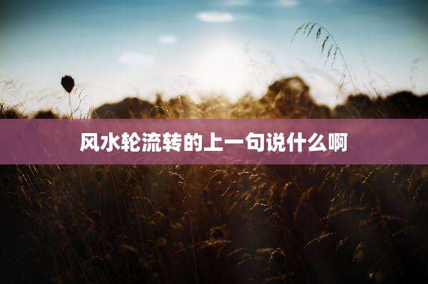 风水轮流转的上一句说什么啊