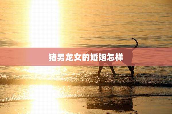 猪男龙女的婚姻怎样
