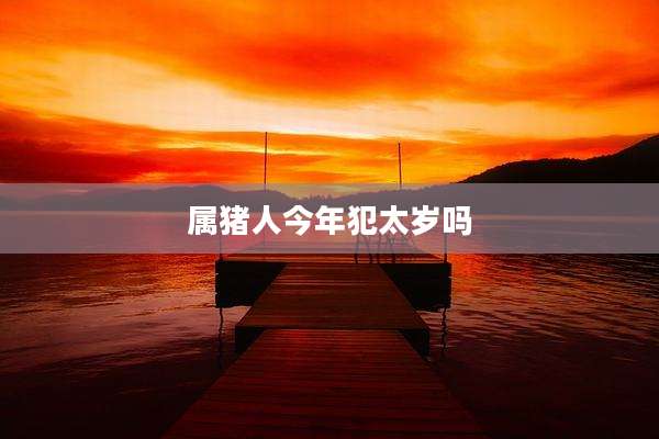 属猪人今年犯太岁吗