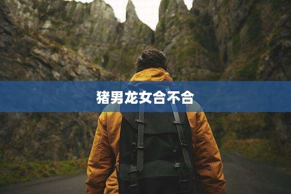 猪男龙女合不合