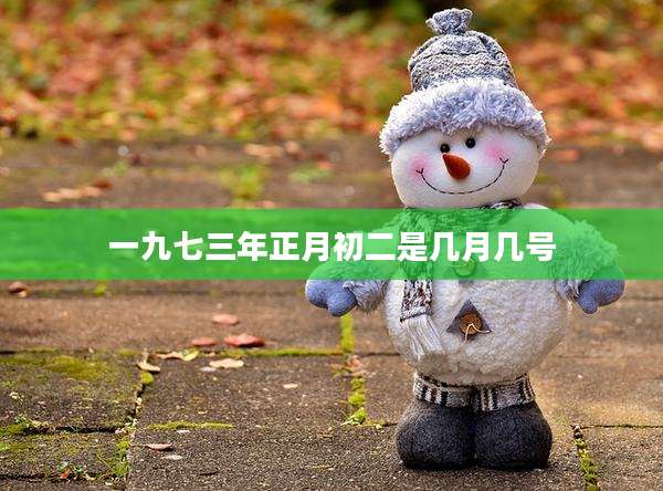 一九七三年正月初二是几月几号