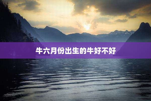 牛六月份出生的牛好不好