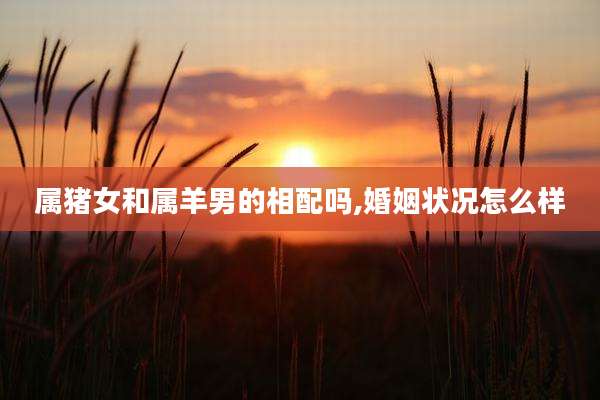 属猪女和属羊男的相配吗,婚姻状况怎么样