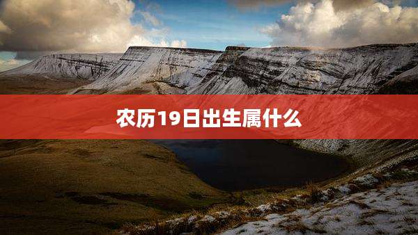 农历19日出生属什么