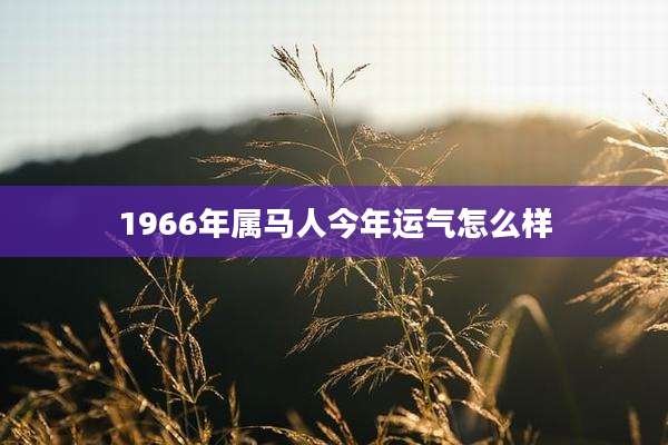1966年属马人今年运气怎么样