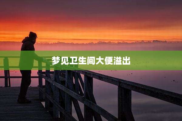 梦见卫生间大便溢出