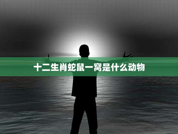 十二生肖蛇鼠一窝是什么动物