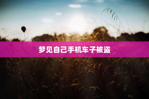 梦见自己手机车子被盗