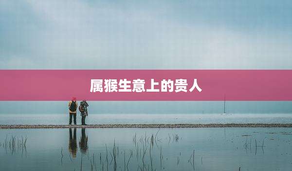 属猴生意上的贵人