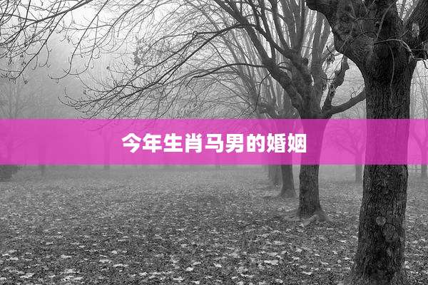 今年生肖马男的婚姻