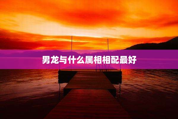 男龙与什么属相相配最好
