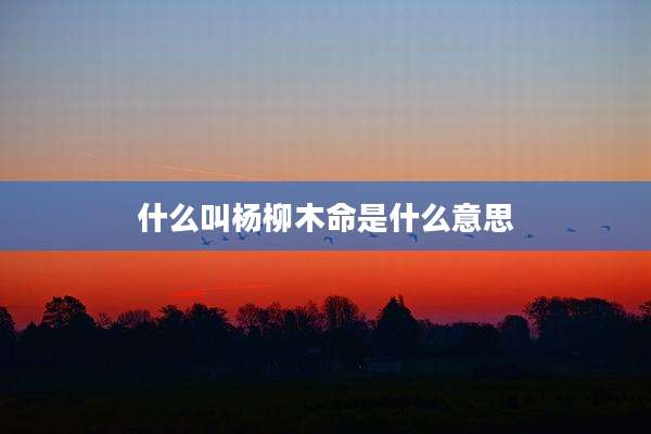 什么叫杨柳木命是什么意思