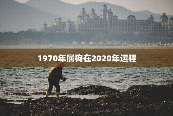 1970年属狗在2020年运程