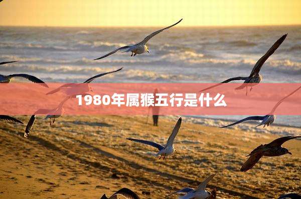 1980年属猴五行是什么