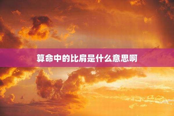 算命中的比肩是什么意思啊