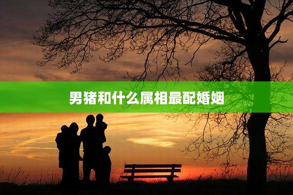男猪和什么属相最配婚姻
