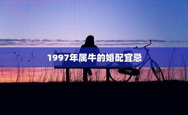 1997年属牛的婚配宜忌