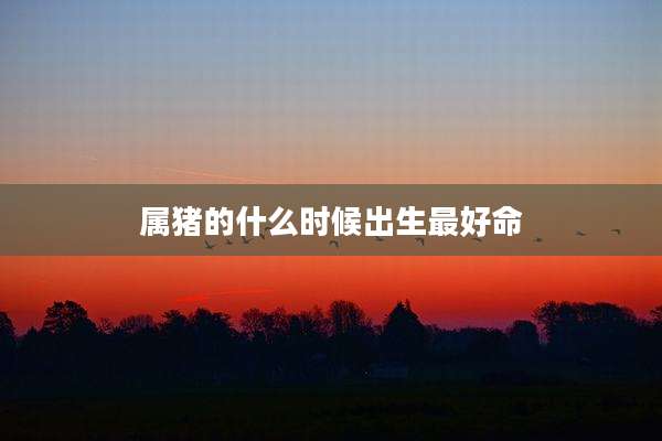属猪的什么时候出生最好命