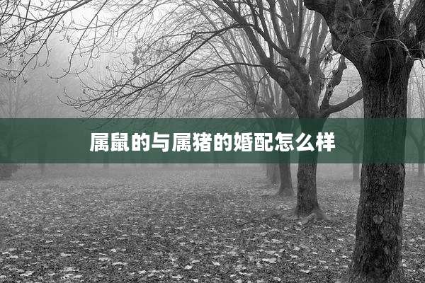 属鼠的与属猪的婚配怎么样