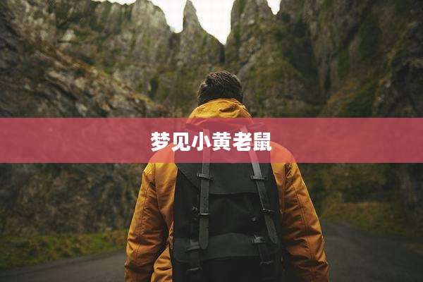 梦见小黄老鼠