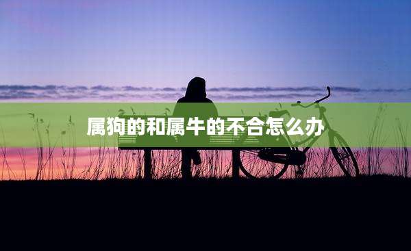 属狗的和属牛的不合怎么办
