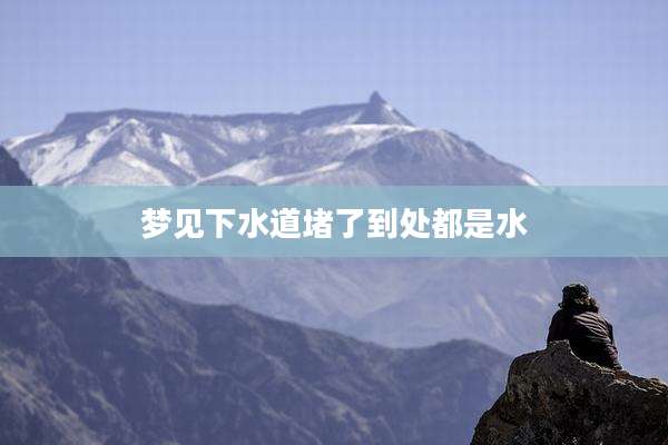梦见下水道堵了到处都是水