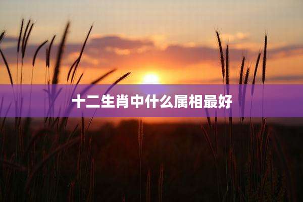 十二生肖中什么属相最好