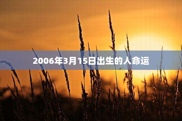 2006年3月15日出生的人命运