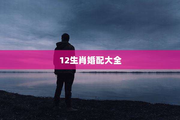 12生肖婚配大全