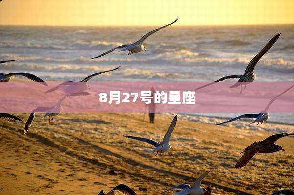 8月27号的星座