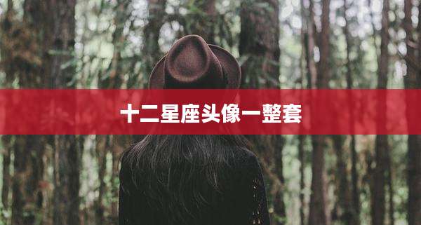 十二星座头像一整套