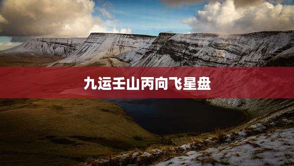 九运壬山丙向飞星盘