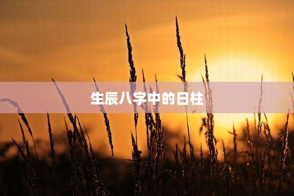 生辰八字中的日柱