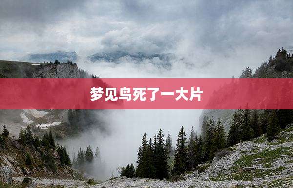 梦见鸟死了一大片