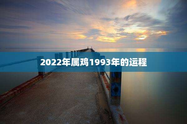 2022年属鸡1993年的运程