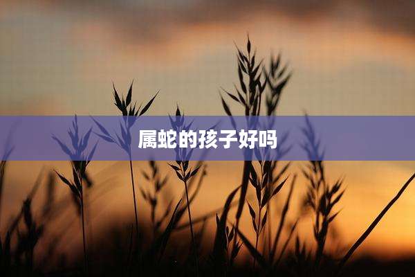 属蛇的孩子好吗