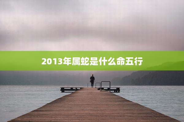 2013年属蛇是什么命五行