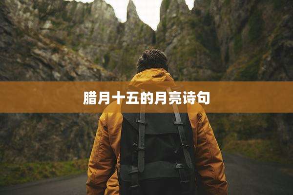 腊月十五的月亮诗句