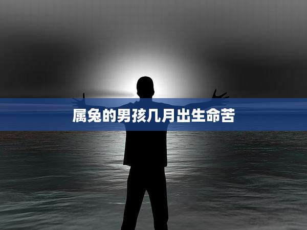 属兔的男孩几月出生命苦