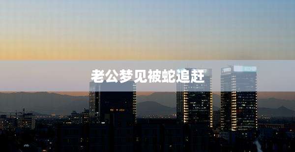 老公梦见被蛇追赶