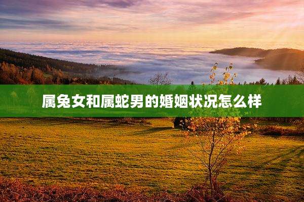 属兔女和属蛇男的婚姻状况怎么样