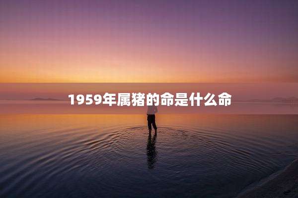 1959年属猪的命是什么命
